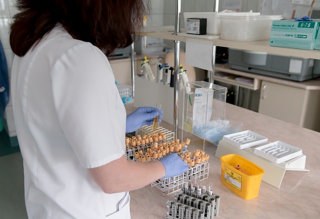 Ärztin ordnet Blutproben im Labor für diagnostische Untersuchungen